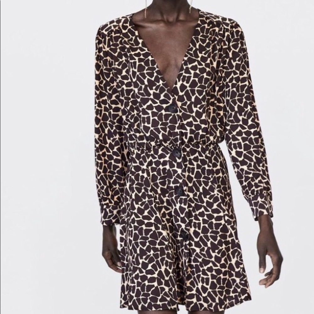 Zara dress